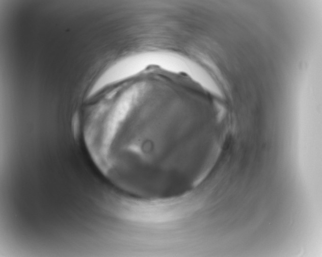 X0000088700019200706211953