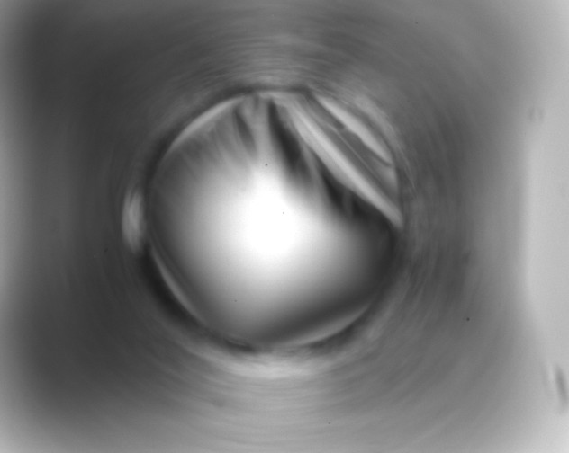 X0000088700020200706211953