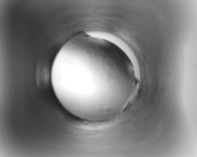 X0000088700021200706211953