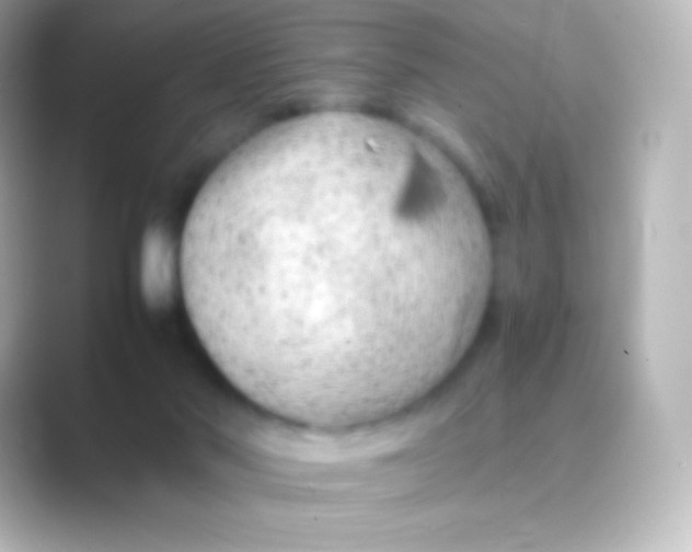 X0000088700022200706211953