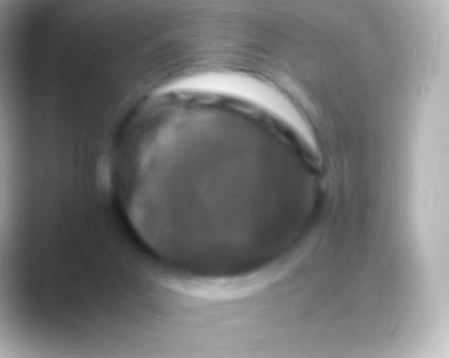 X0000088700023200706211953