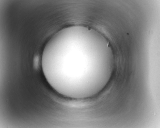 X0000088700024200706211953