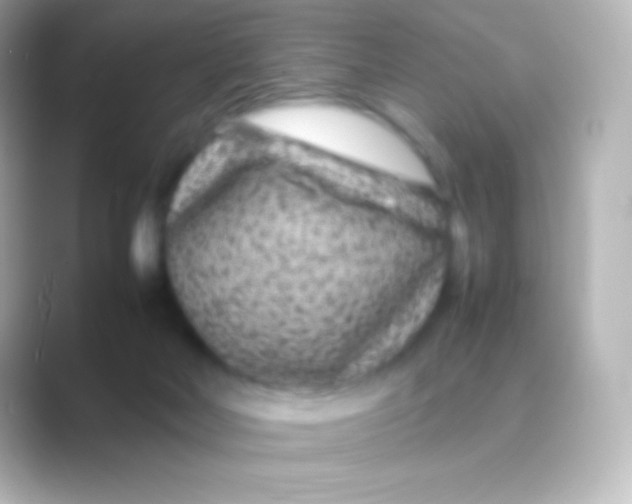 X0000088700026200706211953