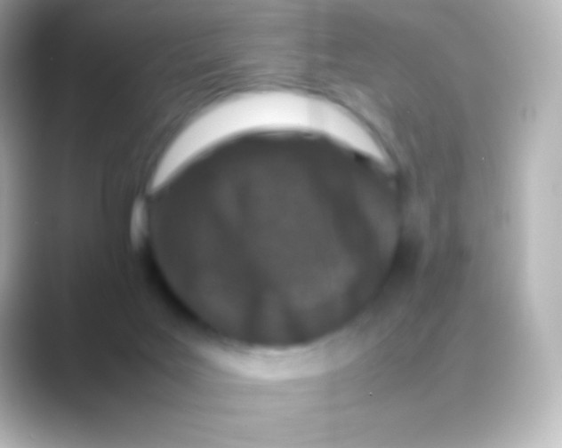 X0000088700027200706211953