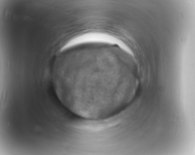 X0000088700029200706211953