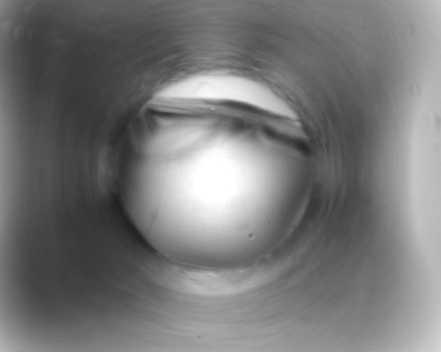 X0000088700030200706211953