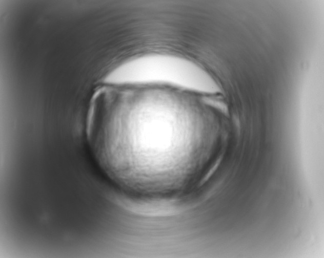 X0000088700032200706211953