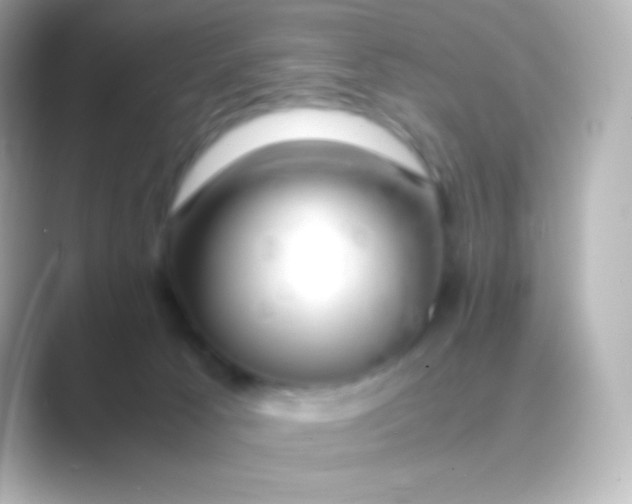 X0000088700033200706211953