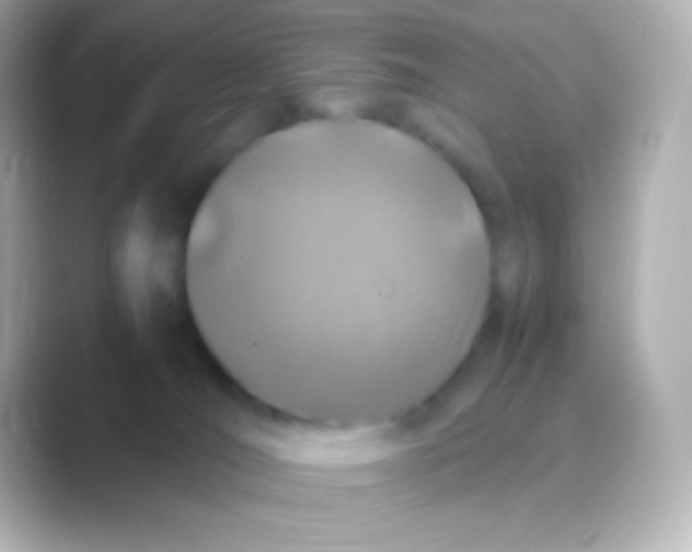 X0000088700036200706211952