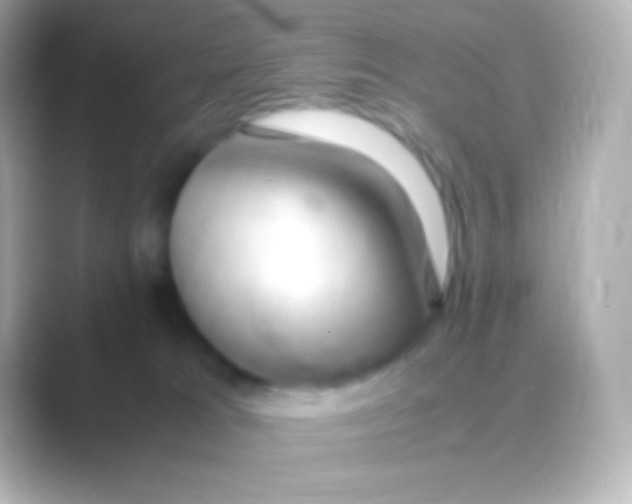 X0000088700037200706211952