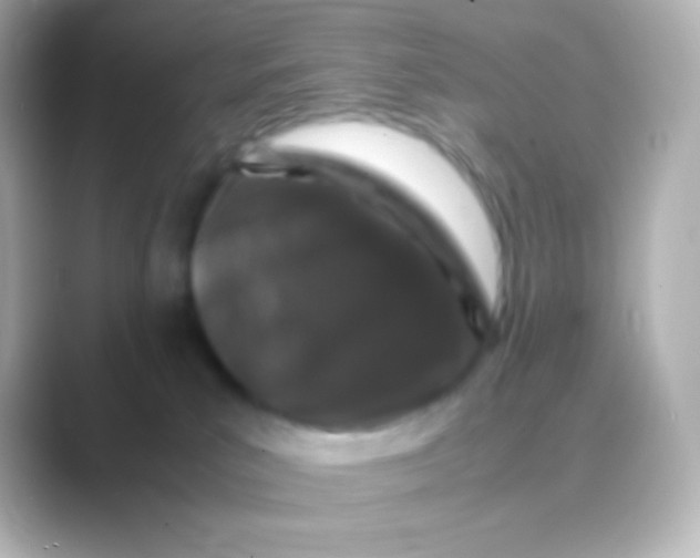 X0000088700039200706211952