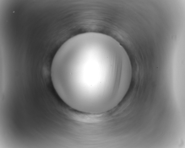 X0000088700040200706211952