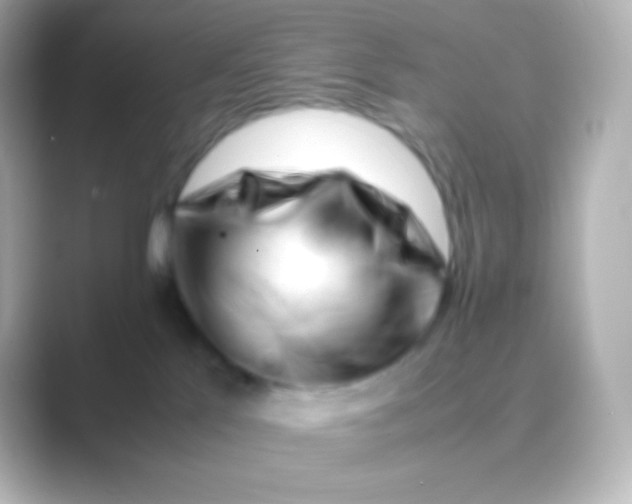 X0000088700041200706211952