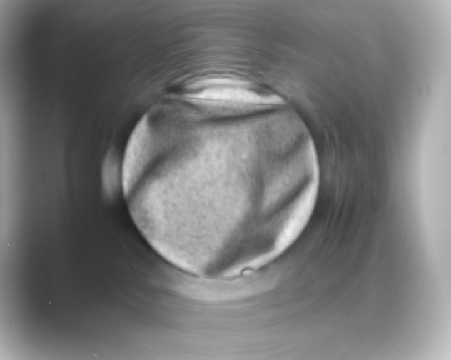 X0000088700042200706211952