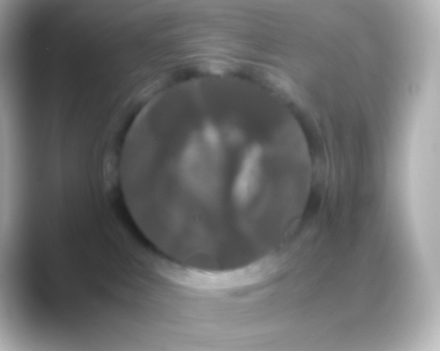 X0000088700043200706211952