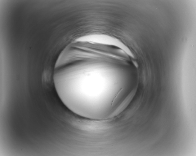 X0000088700044200706211952