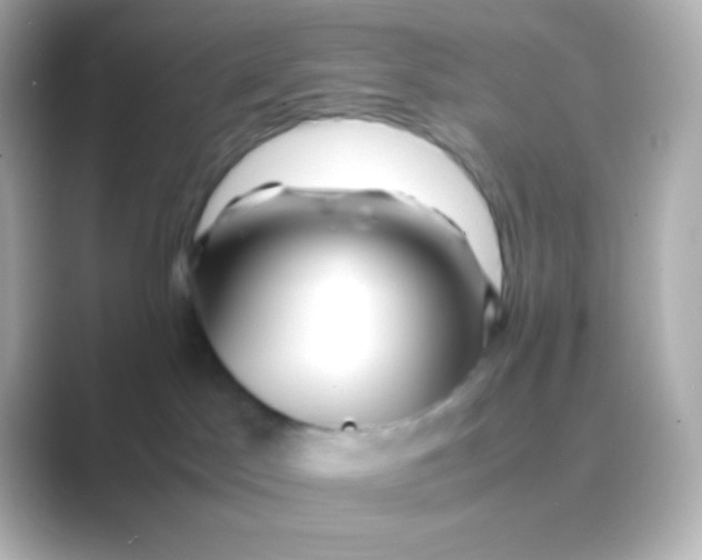 X0000088700045200706211952