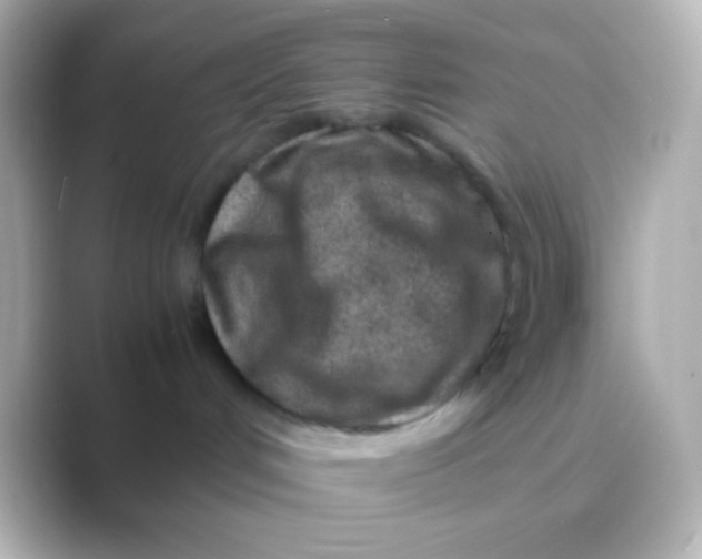 X0000088700048200706211952