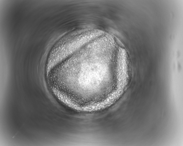 X0000088700049200706211952