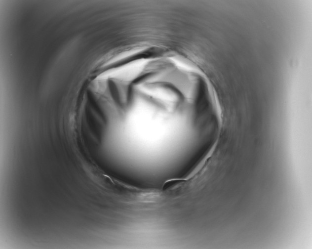 X0000088700050200706211952