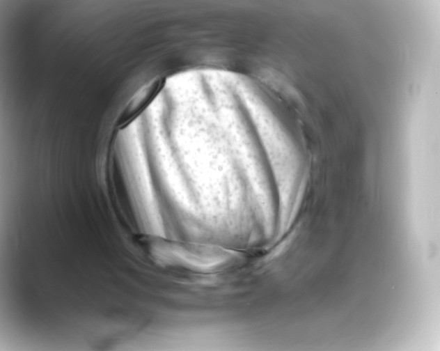 X0000088700051200706211952