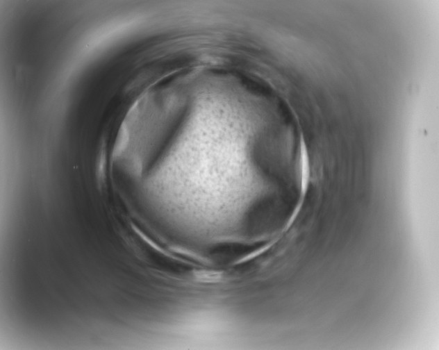 X0000088700052200706211952