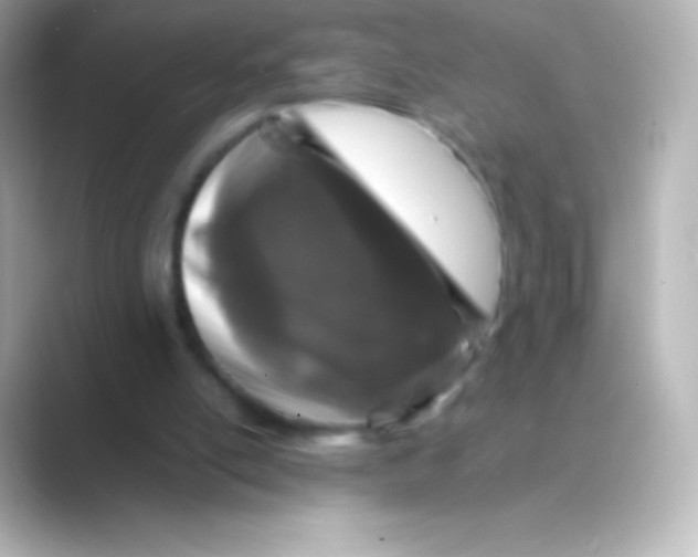 X0000088700054200706211952