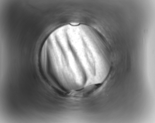 X0000088700055200706211952