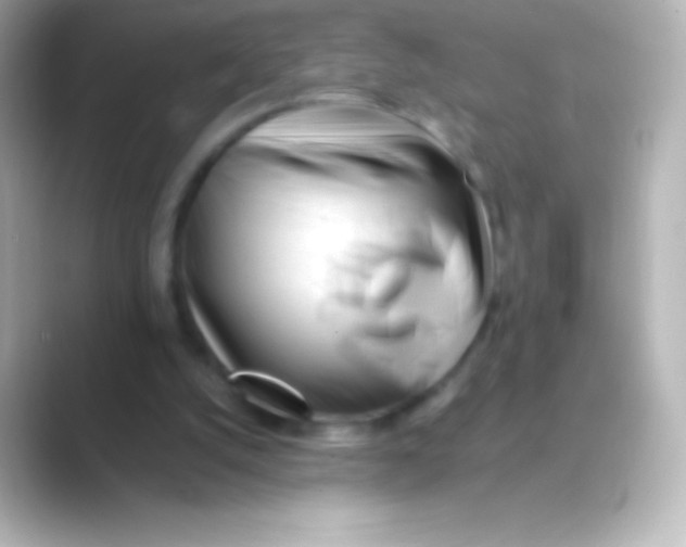 X0000088700056200706211952