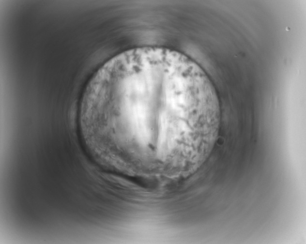 X0000088700058200706211952