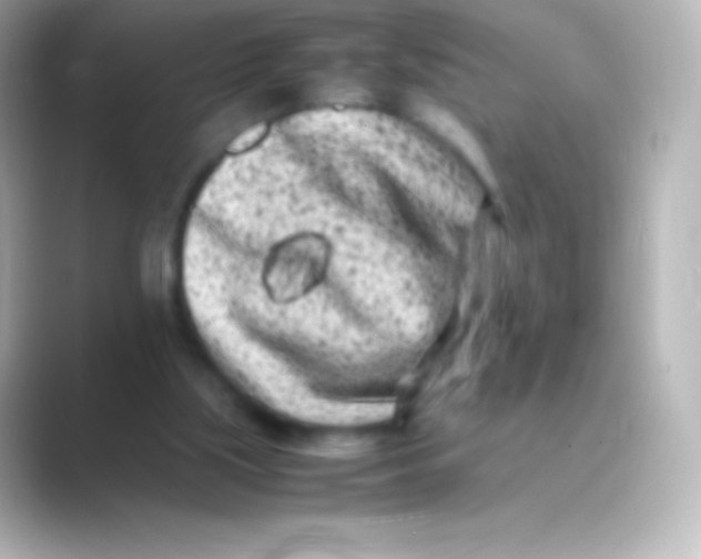 X0000088700059200706211952