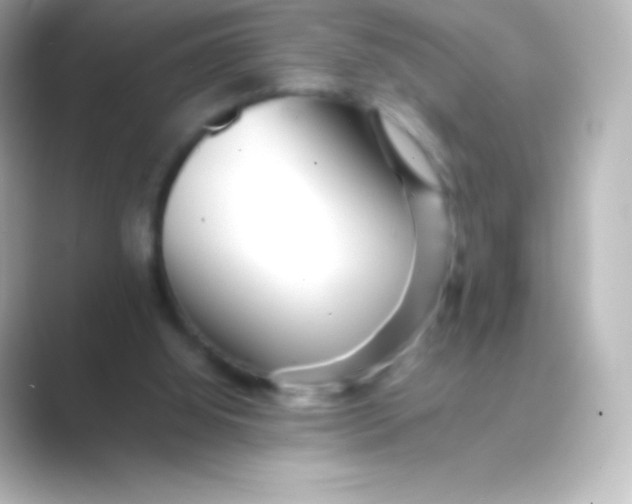 X0000088700060200706211952