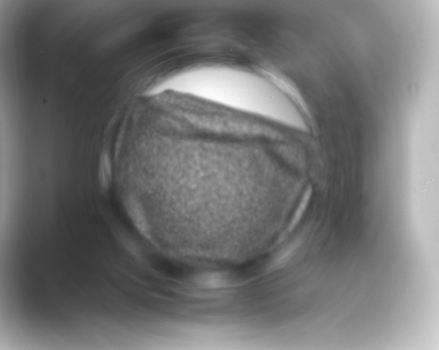 X0000088700061200706211952