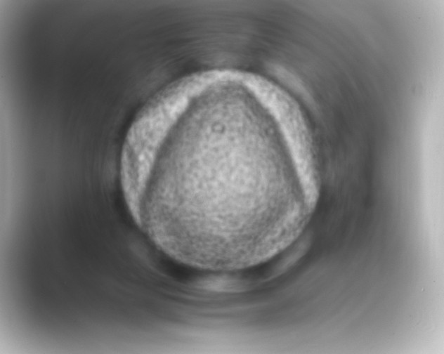 X0000088700065200706211952