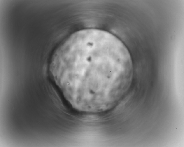 X0000088700066200706211952