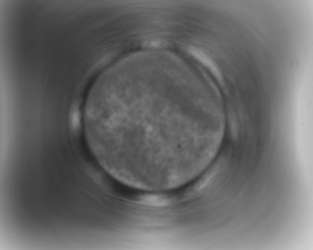 X0000088700067200706211952