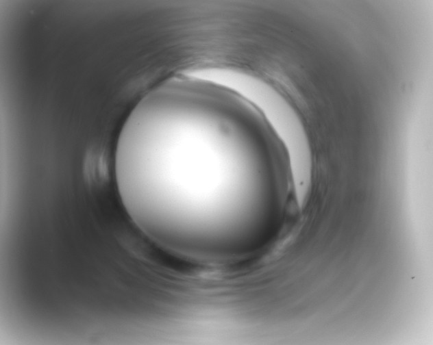 X0000088700068200706211952