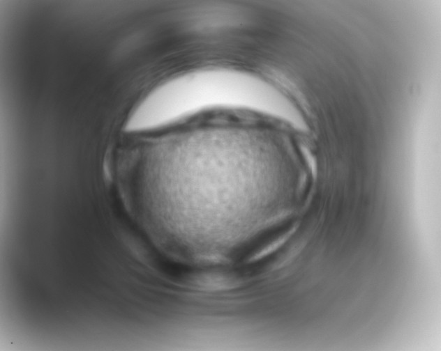 X0000088700069200706211952