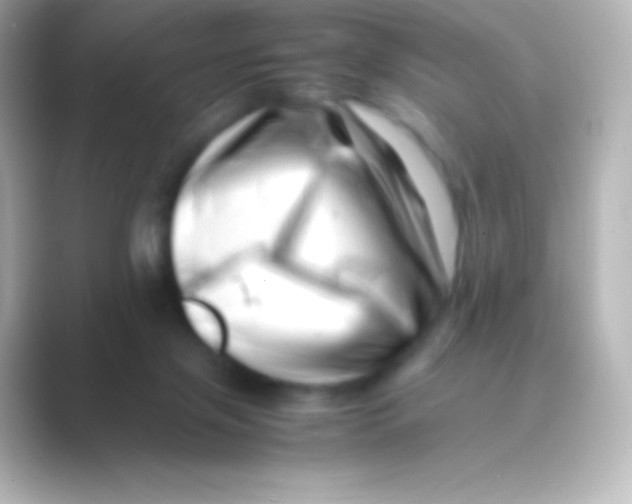 X0000088700071200706211952