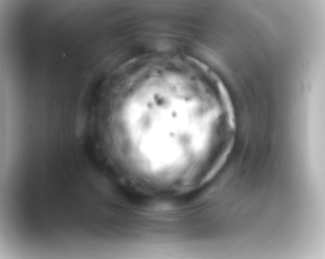 X0000088700073200706211952