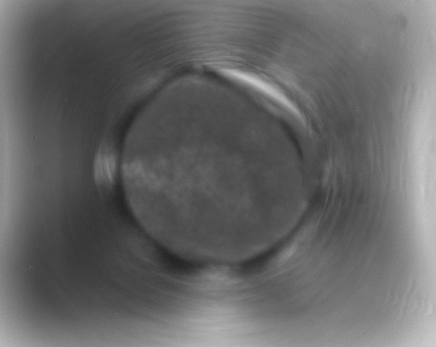 X0000088700076200706211952