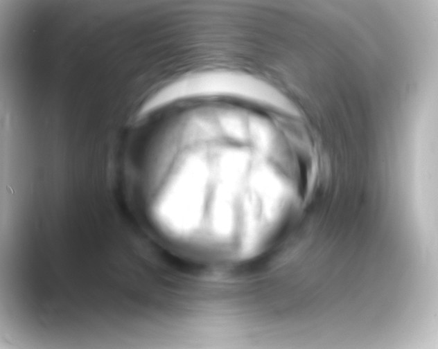 X0000088700080200706211952