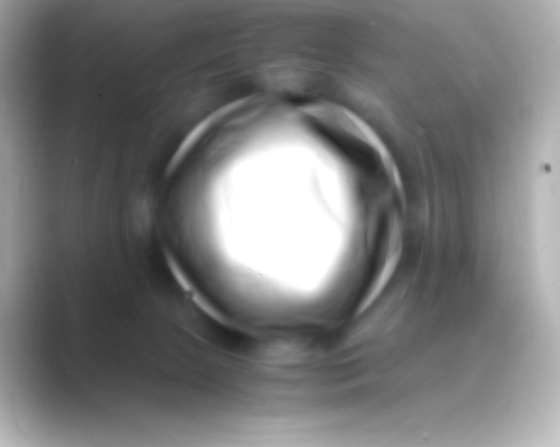 X0000088700081200706211952