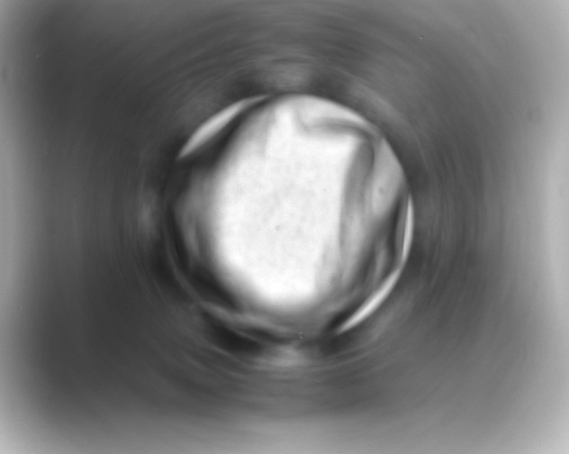 X0000088700083200706211952