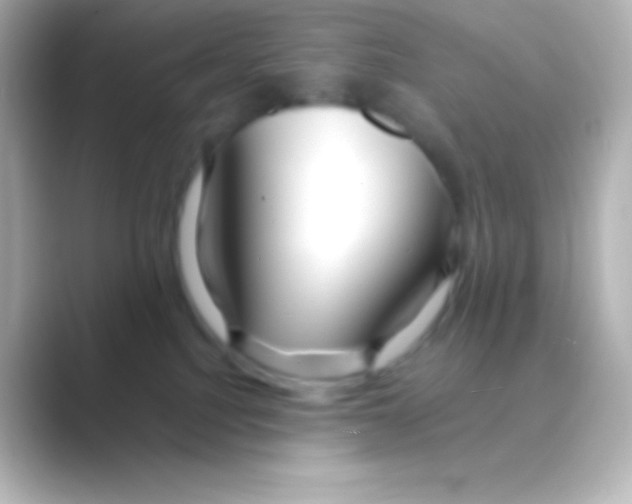 X0000088700088200706211952