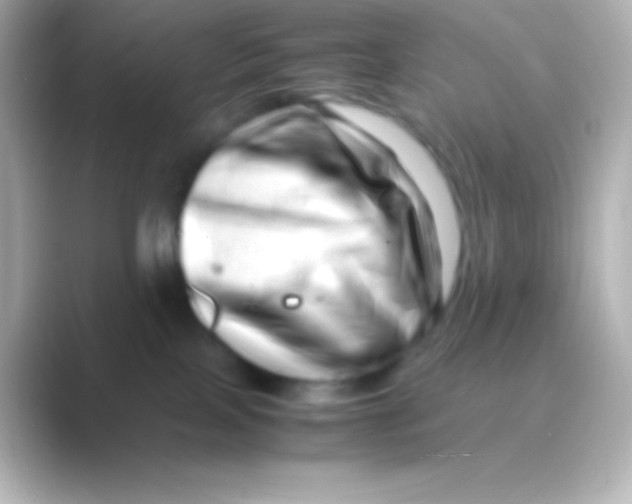 X0000088700089200706211952