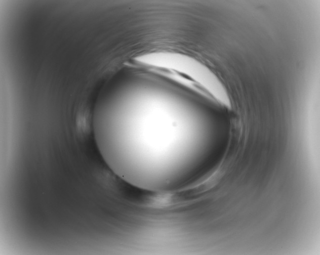 X0000088700090200706211952