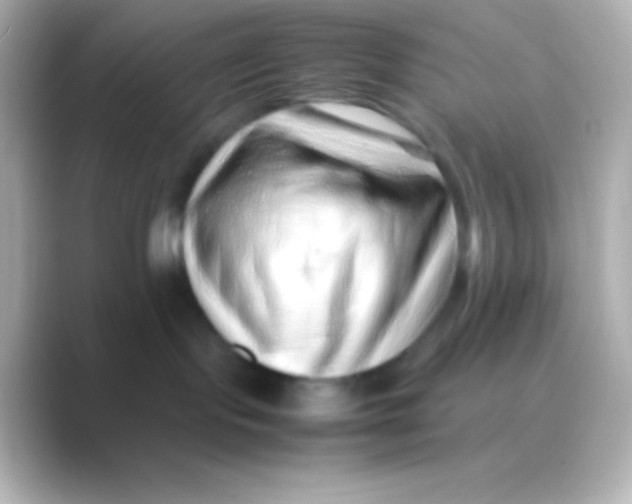 X0000088700095200706211952