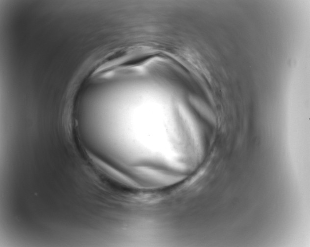 X0000088700101200706211952