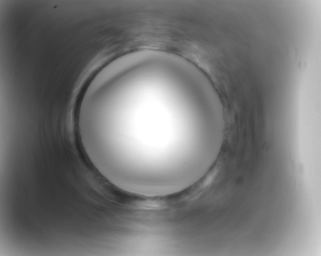 X0000088700102200706211952